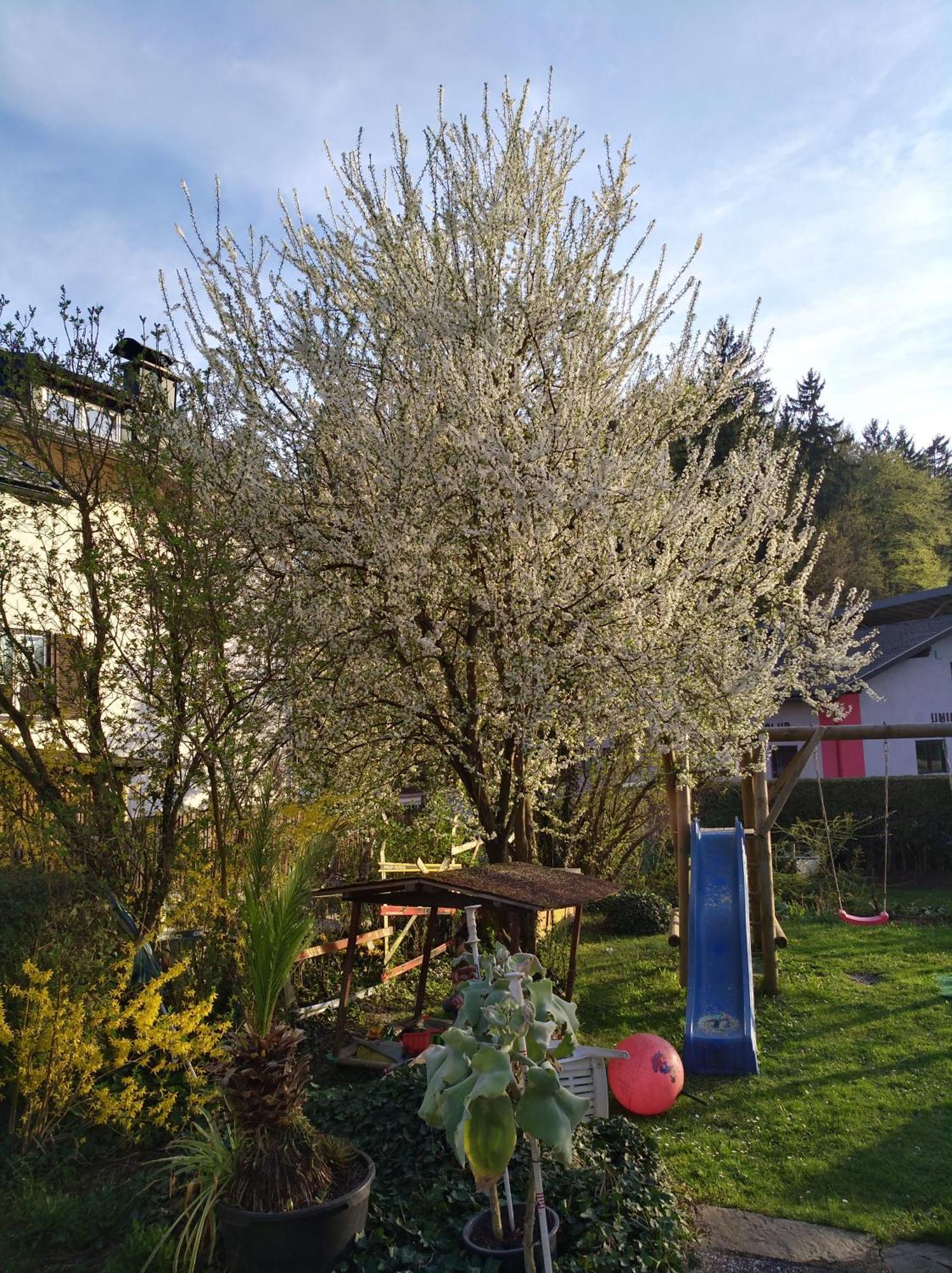 Haus Friedburg Apartment Velden am Woerthersee Ngoại thất bức ảnh