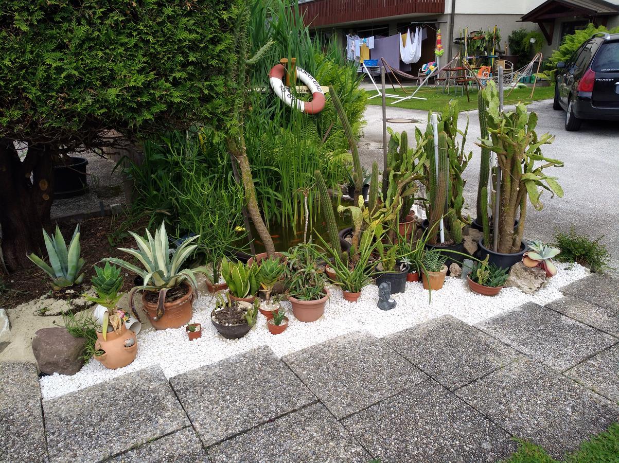 Haus Friedburg Apartment Velden am Woerthersee Ngoại thất bức ảnh